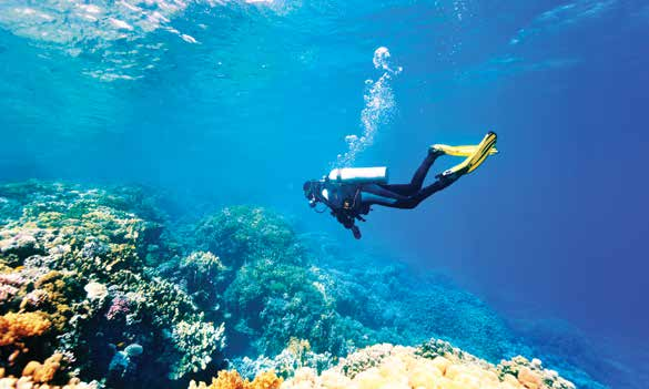 Diving